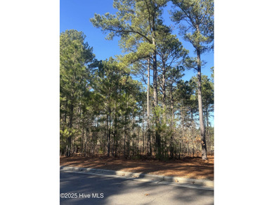 Wonderfully located lot on the 11th hole of the North golf on Forest Creek Golf Club  in North Carolina - for sale on GolfHomes.com, golf home, golf lot