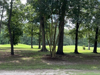 Build Your Dream Home in Albemarle Plantation! This spacious lot on Sound Golf Links at Albemarle Plantation in North Carolina - for sale on GolfHomes.com, golf home, golf lot