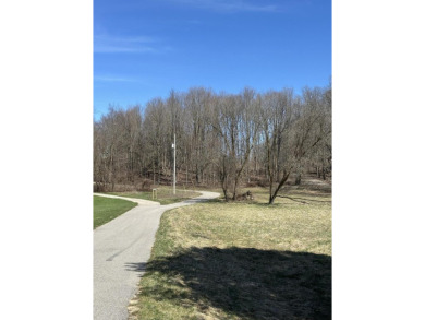 Take a look at the amazing views offered with this newly split on Gleneagle Golf Club in Michigan - for sale on GolfHomes.com, golf home, golf lot
