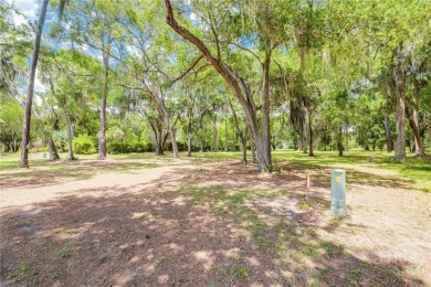 Discover the Perfect Blend of Luxury, Nature, & Recreation on on Sapelo Hammock Golf Club in Georgia - for sale on GolfHomes.com, golf home, golf lot