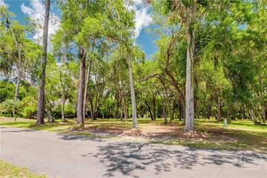 Discover the Perfect Blend of Luxury, Nature, & Recreation on on Sapelo Hammock Golf Club in Georgia - for sale on GolfHomes.com, golf home, golf lot