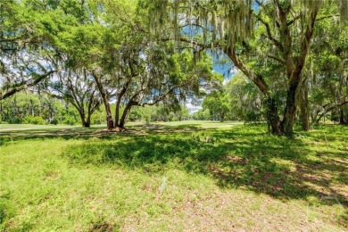 Discover the Perfect Blend of Luxury, Nature, & Recreation on on Sapelo Hammock Golf Club in Georgia - for sale on GolfHomes.com, golf home, golf lot