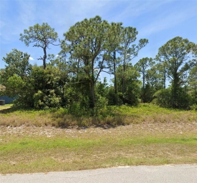 Almost a quarter-acre lot in Fairway Lake Estates of Sebring on Harder Hall Exec Golf Course in Florida - for sale on GolfHomes.com, golf home, golf lot