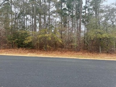 Ideal corner lot in desirable Cedar Creek. Your choice of on The Golf Club At Cedar Creek in South Carolina - for sale on GolfHomes.com, golf home, golf lot