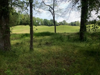 Lovely wooded golf course lot overlooking a lush fairway in on The Links At Stoney Point in South Carolina - for sale on GolfHomes.com, golf home, golf lot