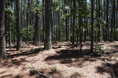 PRICE IMPROVEMENT!!  Looking for property that is close to it on DeSoto Golf Course in Arkansas - for sale on GolfHomes.com, golf home, golf lot