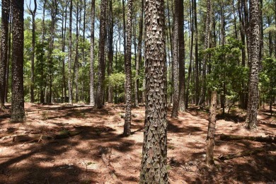 PRICE IMPROVEMENT!!  Looking for property that is close to it on DeSoto Golf Course in Arkansas - for sale on GolfHomes.com, golf home, golf lot