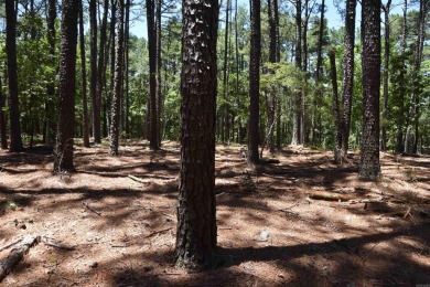 PRICE IMPROVEMENT!!  Looking for property that is close to it on DeSoto Golf Course in Arkansas - for sale on GolfHomes.com, golf home, golf lot