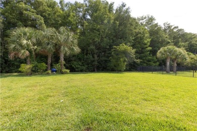 Welcome to your dream home in Hampton Lakes! This stunning on River Hall Country Club in Florida - for sale on GolfHomes.com, golf home, golf lot