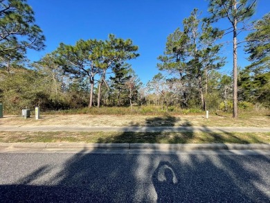 Great building lot located on hole number 10 at the Audubon on St. James Bay in Florida - for sale on GolfHomes.com, golf home, golf lot