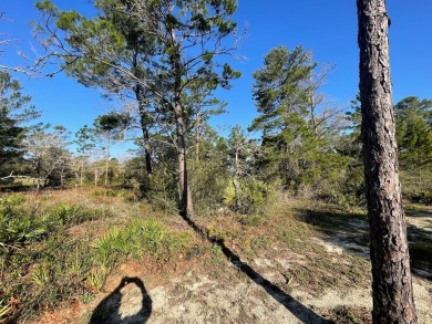 Great building lot located on hole number 10 at the Audubon on St. James Bay in Florida - for sale on GolfHomes.com, golf home, golf lot