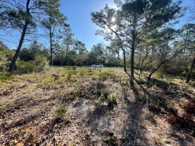 Great building lot located on hole number 10 at the Audubon on St. James Bay in Florida - for sale on GolfHomes.com, golf home, golf lot