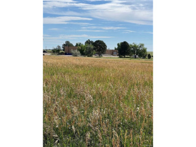 This property is one of over 140 individual lots being sold on Hollydot Golf Course in Colorado - for sale on GolfHomes.com, golf home, golf lot