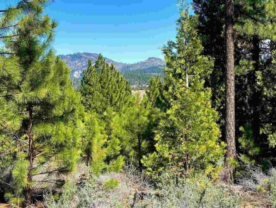 Beautiful Nakoma mountain top property, ideal build site for on Nakoma Golf Resort in California - for sale on GolfHomes.com, golf home, golf lot