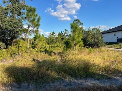 This beautiful lot is situated on a quiet street in a desirable on Mirror Lakes Golf Club in Florida - for sale on GolfHomes.com, golf home, golf lot