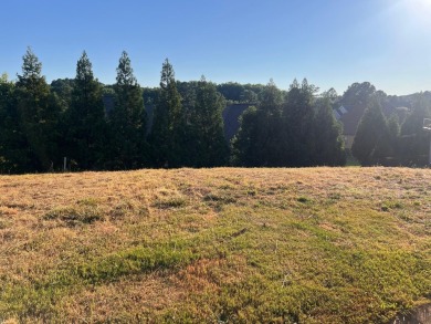 Great Location! Lake Area! Lovely community with 18 Hole Golf on Woodfin Ridge Golf Club in South Carolina - for sale on GolfHomes.com, golf home, golf lot