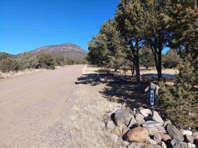 Yvonne Hoffman, Steffens and Company Realty, Inc, C: , hoffman on Rio Grande Golf Club in Colorado - for sale on GolfHomes.com, golf home, golf lot