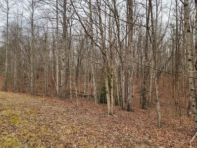 This stunning 4-acre property in Putnam County is nestled within on Mountain Ridge Golf Club in Tennessee - for sale on GolfHomes.com, golf home, golf lot