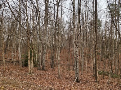 This stunning 4-acre property in Putnam County is nestled within on Mountain Ridge Golf Club in Tennessee - for sale on GolfHomes.com, golf home, golf lot