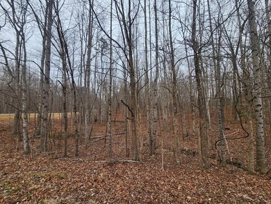 This stunning 4-acre property in Putnam County is nestled within on Mountain Ridge Golf Club in Tennessee - for sale on GolfHomes.com, golf home, golf lot