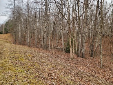 This stunning 4-acre property in Putnam County is nestled within on Mountain Ridge Golf Club in Tennessee - for sale on GolfHomes.com, golf home, golf lot