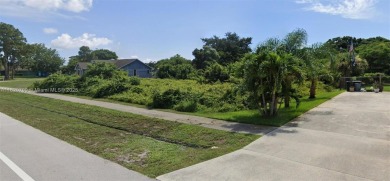 Embrace the opportunity to build your dream home on this on Club Med Sandpiper in Florida - for sale on GolfHomes.com, golf home, golf lot