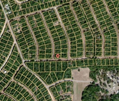 THIS IS THE VERY BEST COUNTY CLUB IN TEXAS for the money. Let me on Hilltop Lakes Resort Golf Club in Texas - for sale on GolfHomes.com, golf home, golf lot