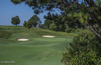 Imagine waking up to the serene beauty of a shimmering lake just on Wind River Golf Course in Tennessee - for sale on GolfHomes.com, golf home, golf lot