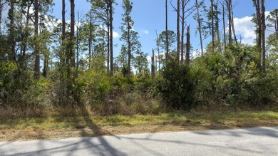 Build your Florida dream home on this prime residential lot on Sabal Trace Golf and Country Club in Florida - for sale on GolfHomes.com, golf home, golf lot