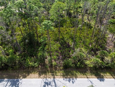 Build your Florida dream home on this prime residential lot on Sabal Trace Golf and Country Club in Florida - for sale on GolfHomes.com, golf home, golf lot