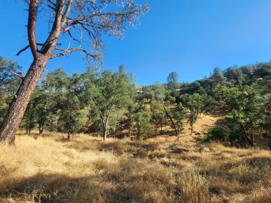 Builder or investor's dream lot! Build your dream home, just on The Club at Copper Valley Golf Course in California - for sale on GolfHomes.com, golf home, golf lot