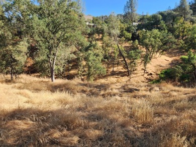 Builder or investor's dream lot! Build your dream home, just on The Club at Copper Valley Golf Course in California - for sale on GolfHomes.com, golf home, golf lot