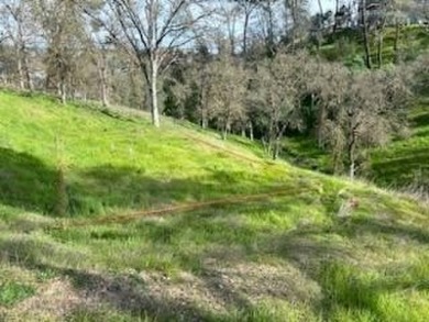 Builder or investor's dream lot! Build your dream home, just on The Club at Copper Valley Golf Course in California - for sale on GolfHomes.com, golf home, golf lot