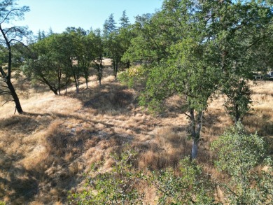 Builder or investor's dream lot! Build your dream home, just on The Club at Copper Valley Golf Course in California - for sale on GolfHomes.com, golf home, golf lot