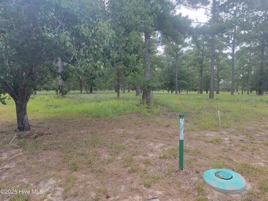 Corner lot in the hottest section of Ocean Ridge Plantation on Sea Trail Golf Resort in North Carolina - for sale on GolfHomes.com, golf home, golf lot