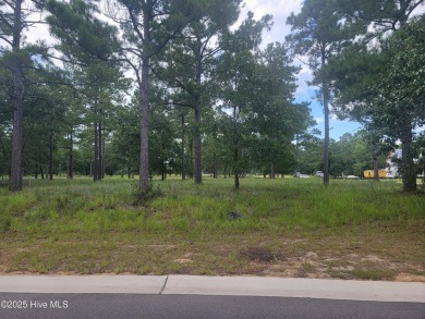 Corner lot in the hottest section of Ocean Ridge Plantation on Sea Trail Golf Resort in North Carolina - for sale on GolfHomes.com, golf home, golf lot