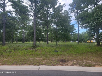 Corner lot in the hottest section of Ocean Ridge Plantation on Sea Trail Golf Resort in North Carolina - for sale on GolfHomes.com, golf home, golf lot
