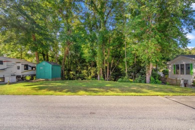 Discover your slice of paradise in this ideal lot in the popular on Tidewater Golf Club and Plantation in South Carolina - for sale on GolfHomes.com, golf home, golf lot