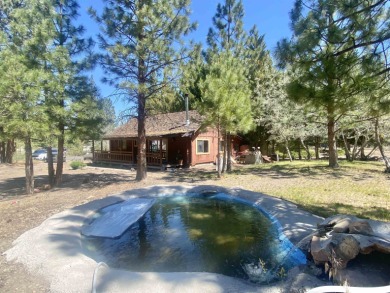 Log Cabin in Lake Shastina! This home features two bedrooms, two on Lake Shastina Golf Course in California - for sale on GolfHomes.com, golf home, golf lot