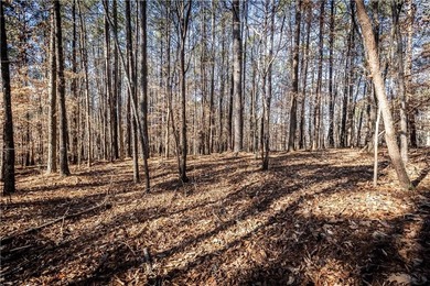 Welcome to Hawks Ridge, one of the most exclusive and on Hawks Ridge Golf Club in Georgia - for sale on GolfHomes.com, golf home, golf lot