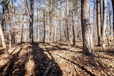 Welcome to Hawks Ridge, one of the most exclusive and on Hawks Ridge Golf Club in Georgia - for sale on GolfHomes.com, golf home, golf lot
