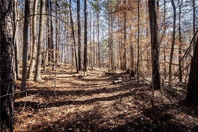Welcome to Hawks Ridge, one of the most exclusive and on Hawks Ridge Golf Club in Georgia - for sale on GolfHomes.com, golf home, golf lot