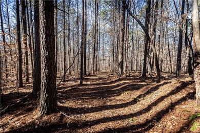 Welcome to Hawks Ridge, one of the most exclusive and on Hawks Ridge Golf Club in Georgia - for sale on GolfHomes.com, golf home, golf lot
