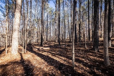 Welcome to Hawks Ridge, one of the most exclusive and on Hawks Ridge Golf Club in Georgia - for sale on GolfHomes.com, golf home, golf lot