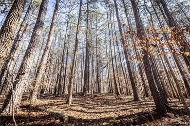 Welcome to Hawks Ridge, one of the most exclusive and on Hawks Ridge Golf Club in Georgia - for sale on GolfHomes.com, golf home, golf lot