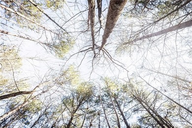 Welcome to Hawks Ridge, one of the most exclusive and on Hawks Ridge Golf Club in Georgia - for sale on GolfHomes.com, golf home, golf lot