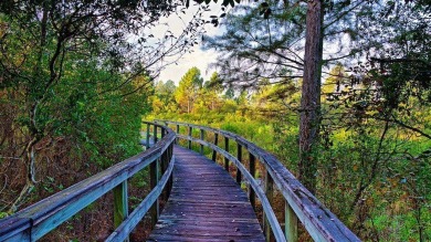 Discover the perfect opportunity to own a piece of paradise at on St. James Bay in Florida - for sale on GolfHomes.com, golf home, golf lot