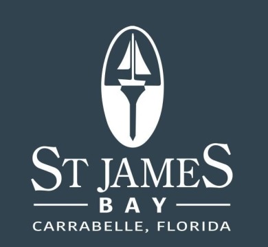 Discover the perfect opportunity to own a piece of paradise at on St. James Bay in Florida - for sale on GolfHomes.com, golf home, golf lot