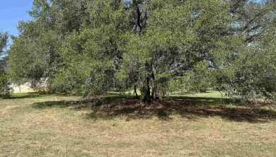 Come Build Your Custom Home in Horseshoe Bay, Beautiful Lot with on Ram Rock Golf Course in Texas - for sale on GolfHomes.com, golf home, golf lot