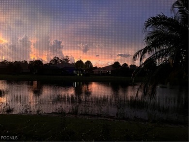 Coach Home with Sunset Views in Pelican Preserve Welcome to your on Pelican Preserve Golf Club in Florida - for sale on GolfHomes.com, golf home, golf lot